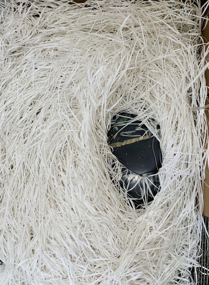 Photograph by Анастасия Оранжевая