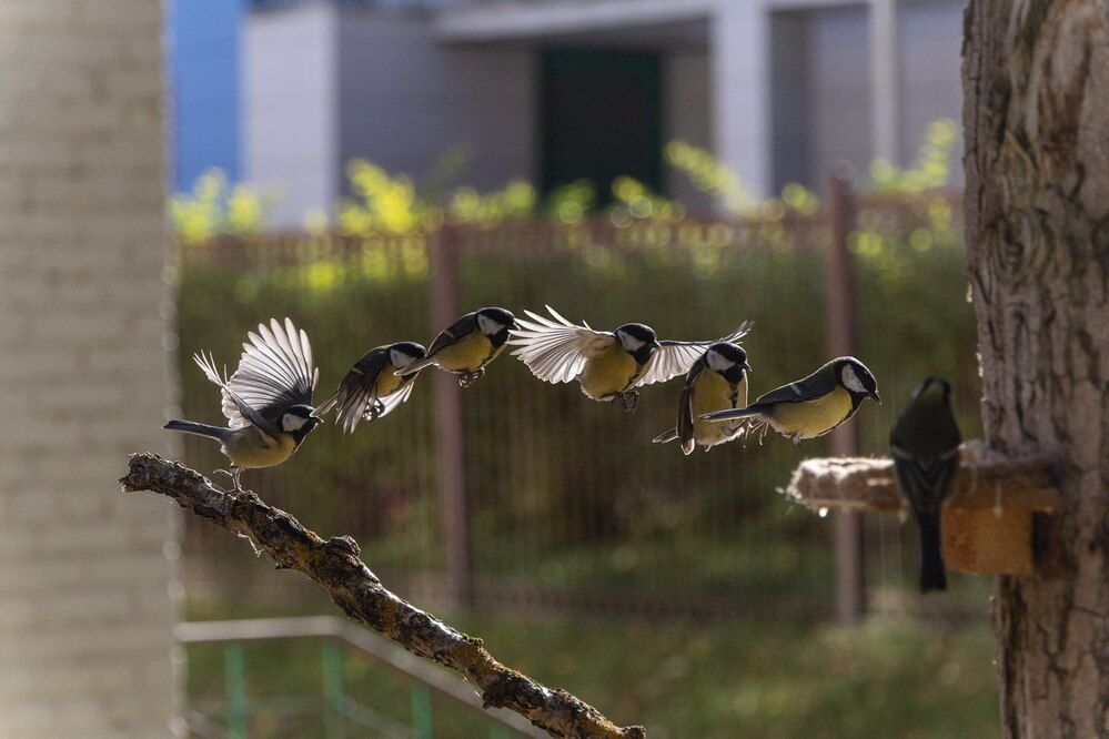 Photograph by Загруев Михаил