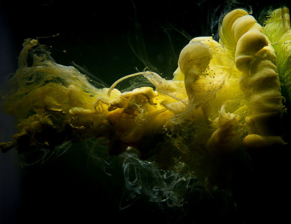 Photograph by Гергерт Вероника