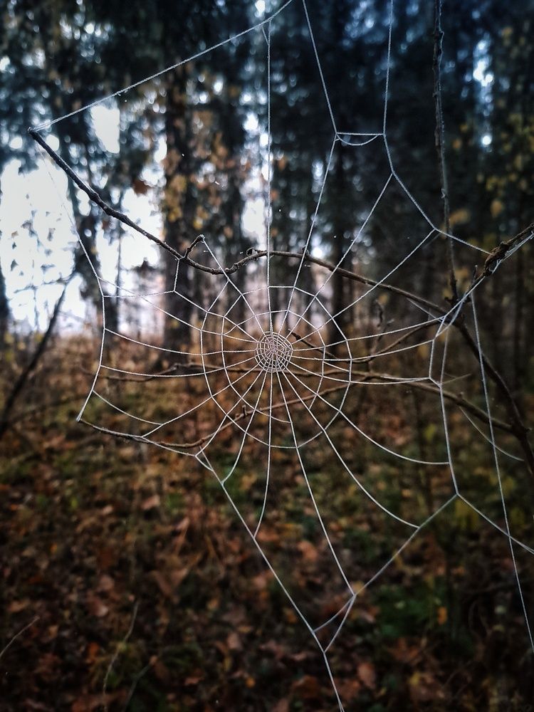 Photograph by Владимир Караман