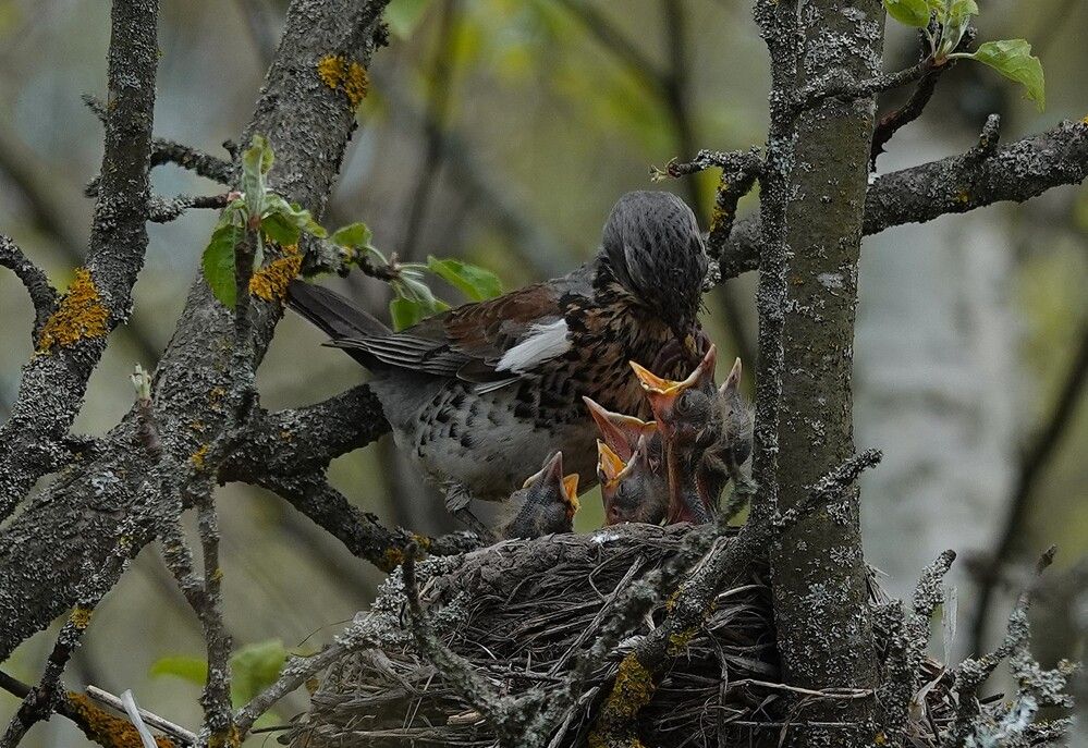 Photograph by Zakharov Matvey