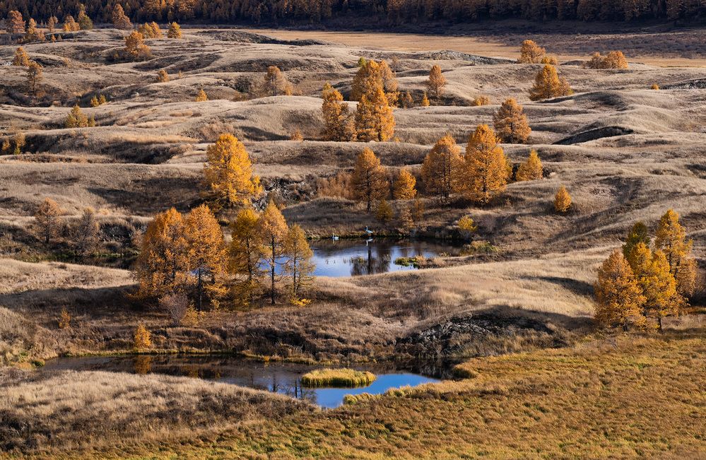 Photograph by Vladimir Ostapenko
