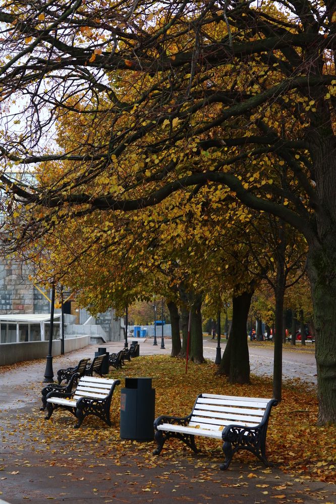 Photograph by Светлана Шуткова