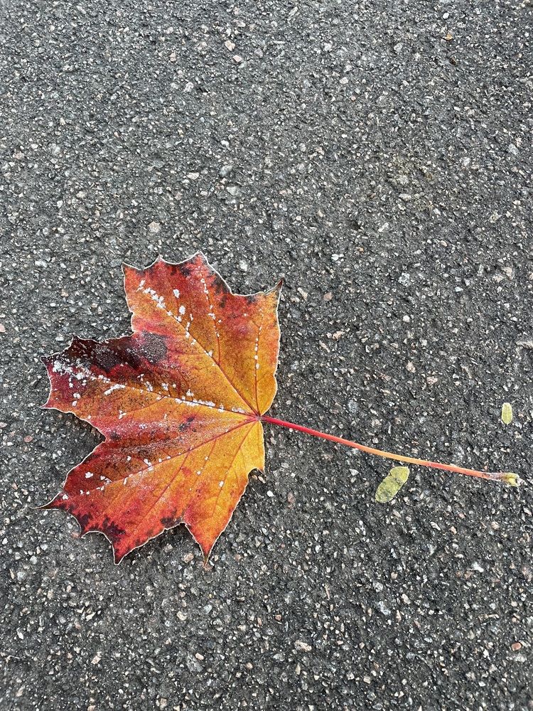 Photograph by Яна Егорова