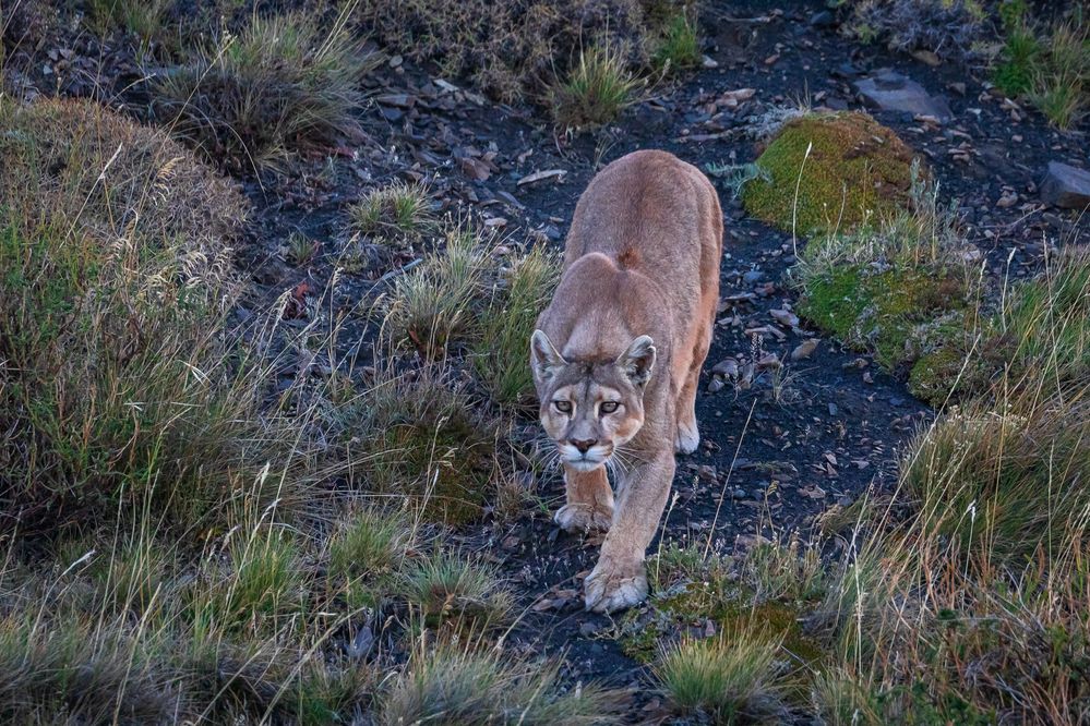 Photograph by Vita Potomova