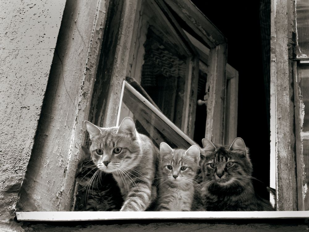 Photograph by Иван Труфанов