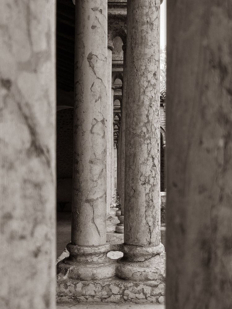 Photograph by Мария Коломиец