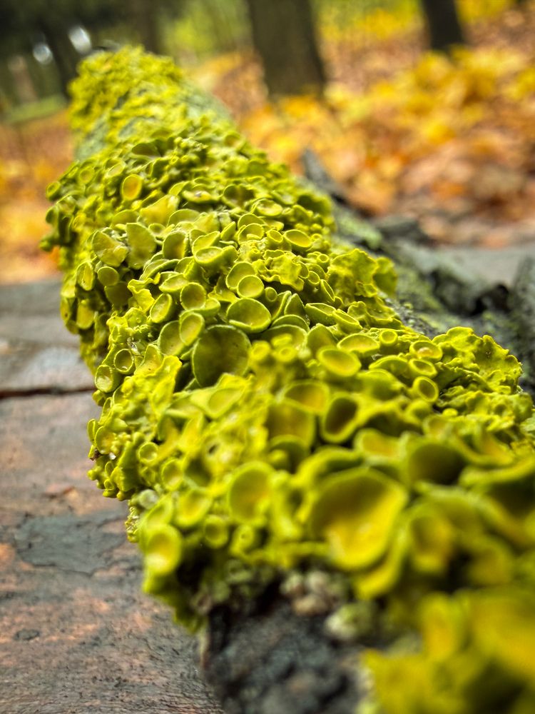 Photograph by Евгений Фролов