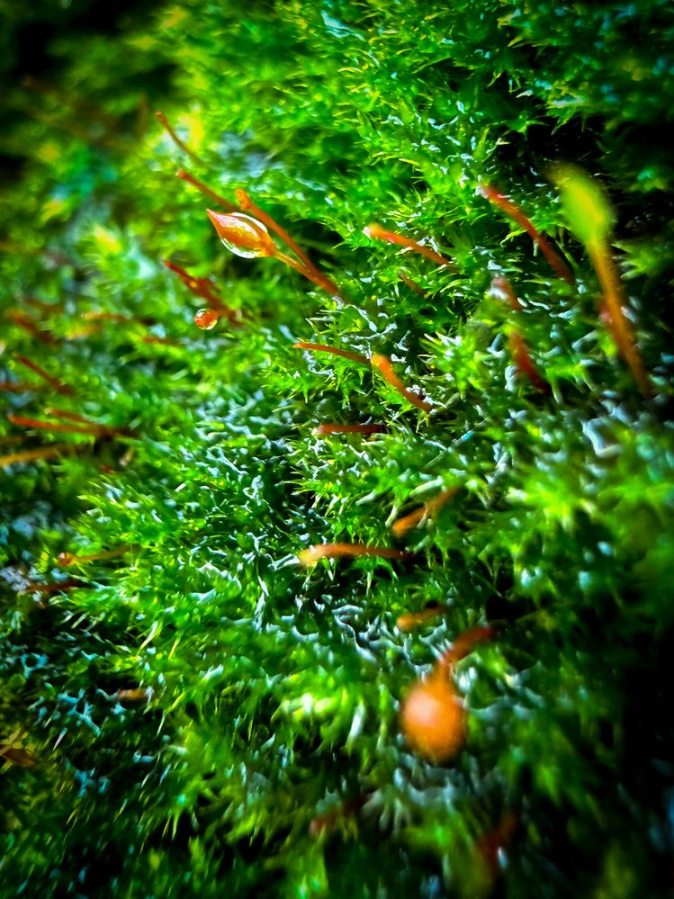 Photograph by Евгений Фролов