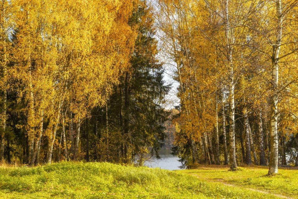 Photograph by Адиля Голубева