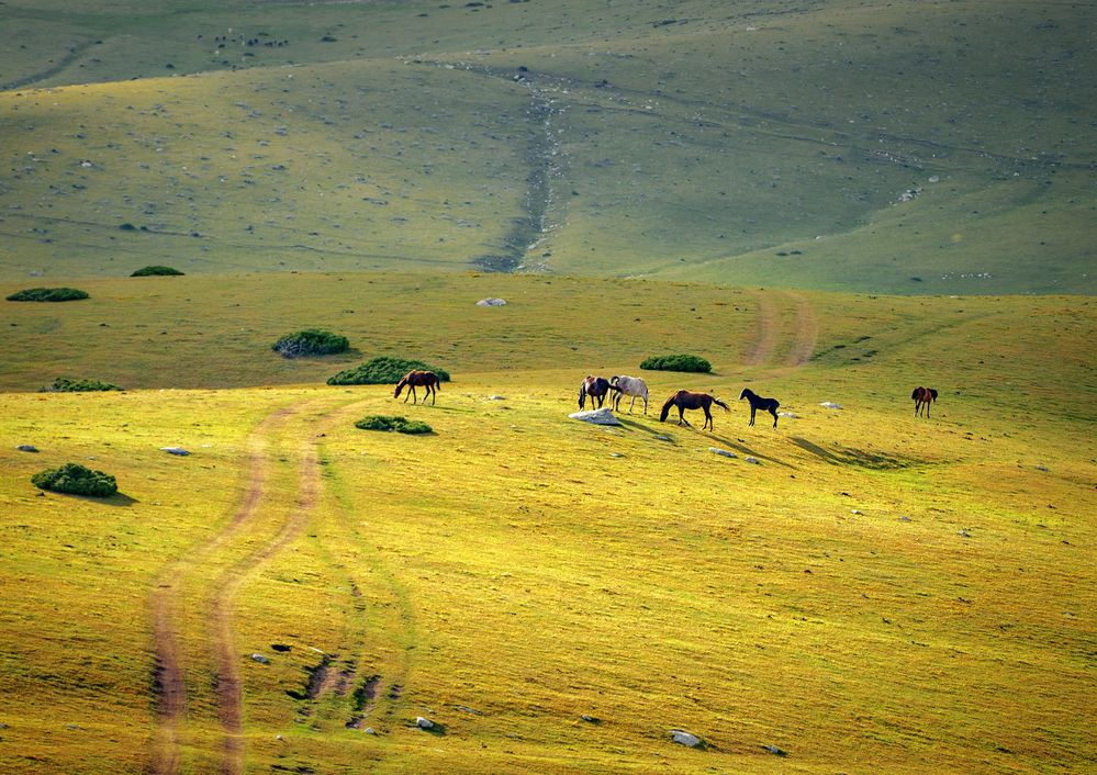 Photograph by Иван Труфанов