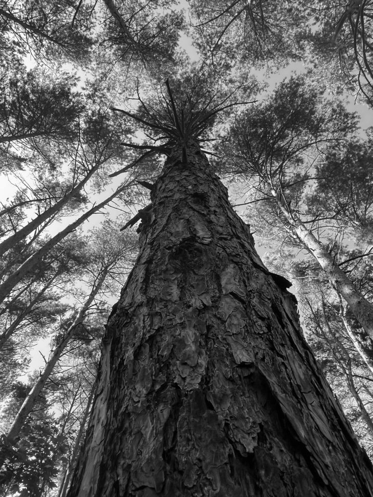 Photograph by Анна Ляшенко