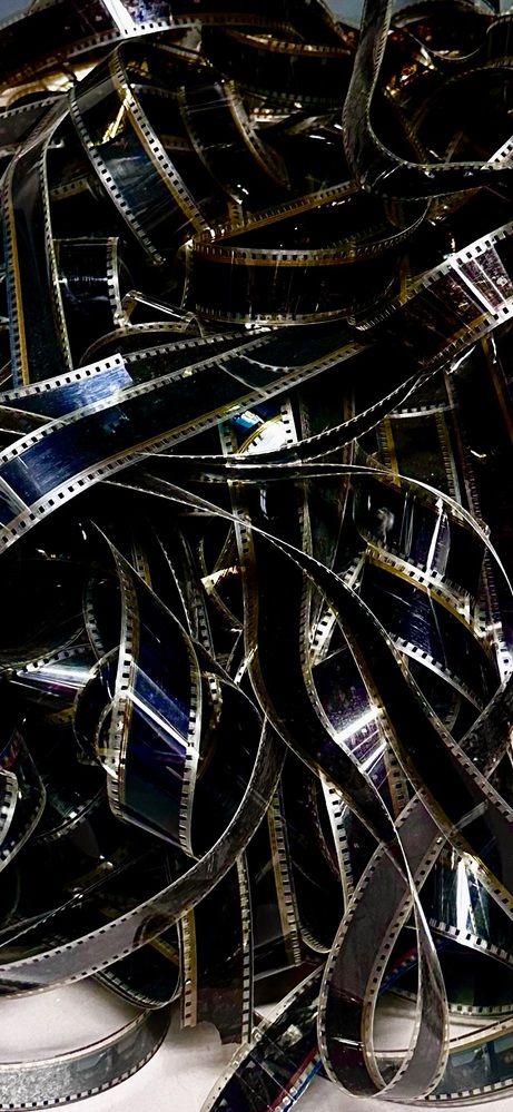 Photograph by Olga Zaretskaya