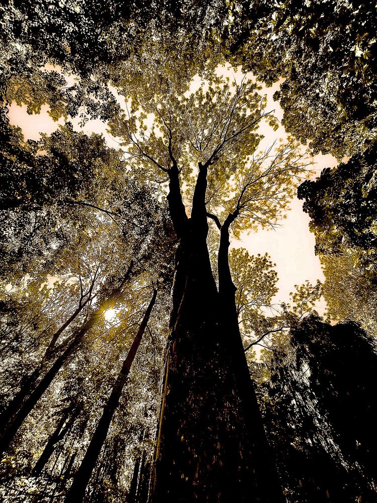 Photograph by Валерий Дьячков