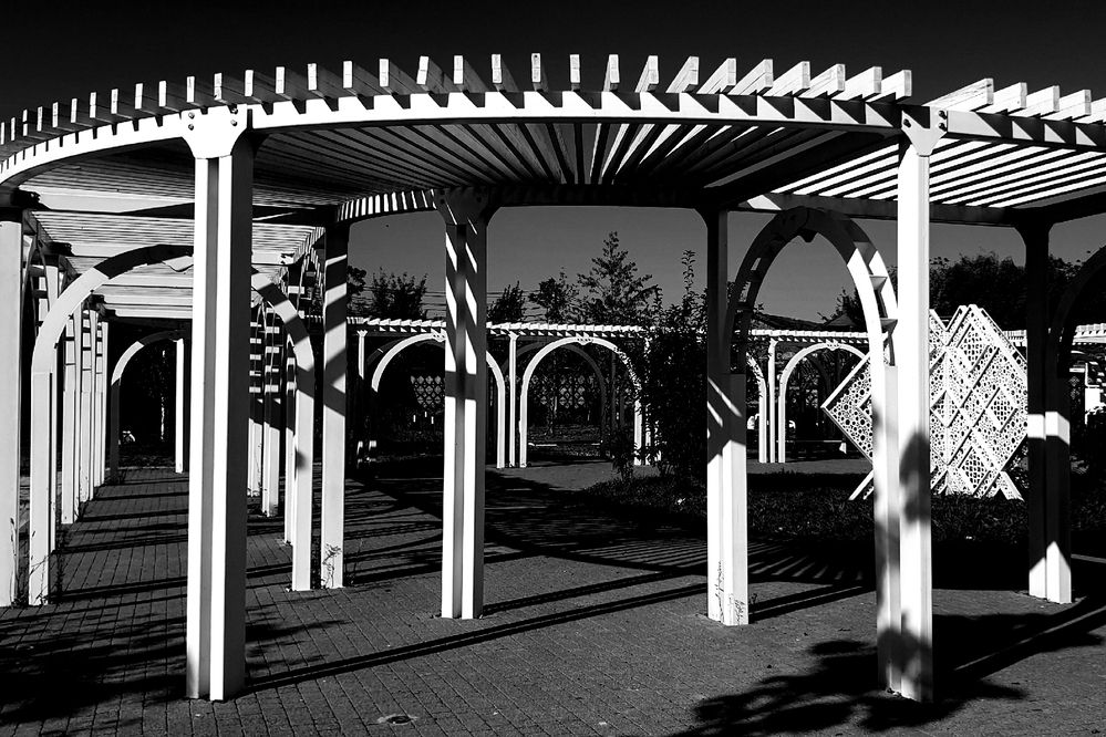 Photograph by Елена Фатьянова