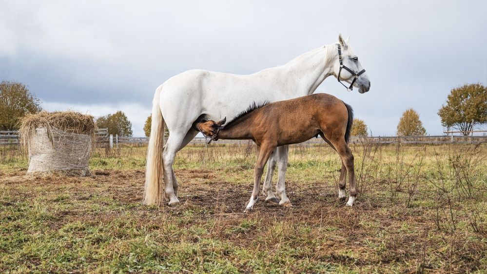Photograph by Юлия Сидорова
