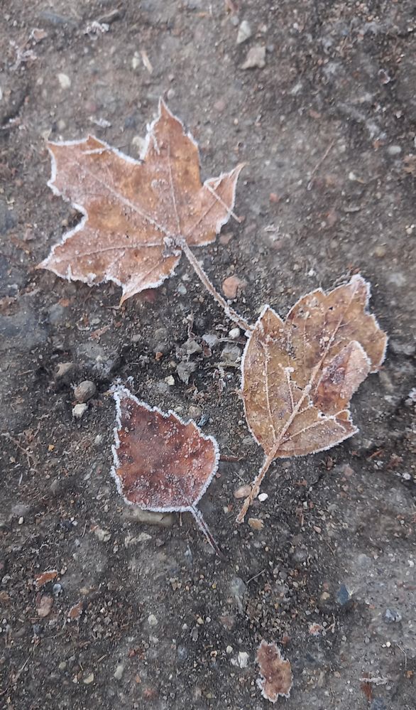 Photograph by Александр Новиков