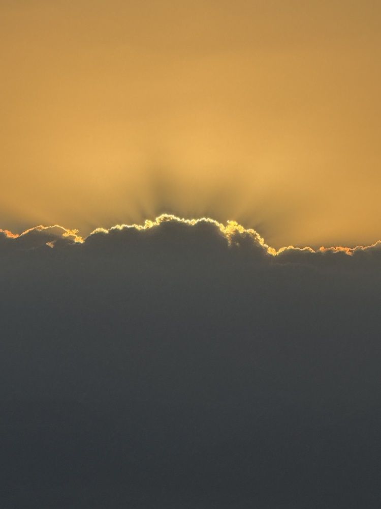 Фотография автора Olga Berlyand