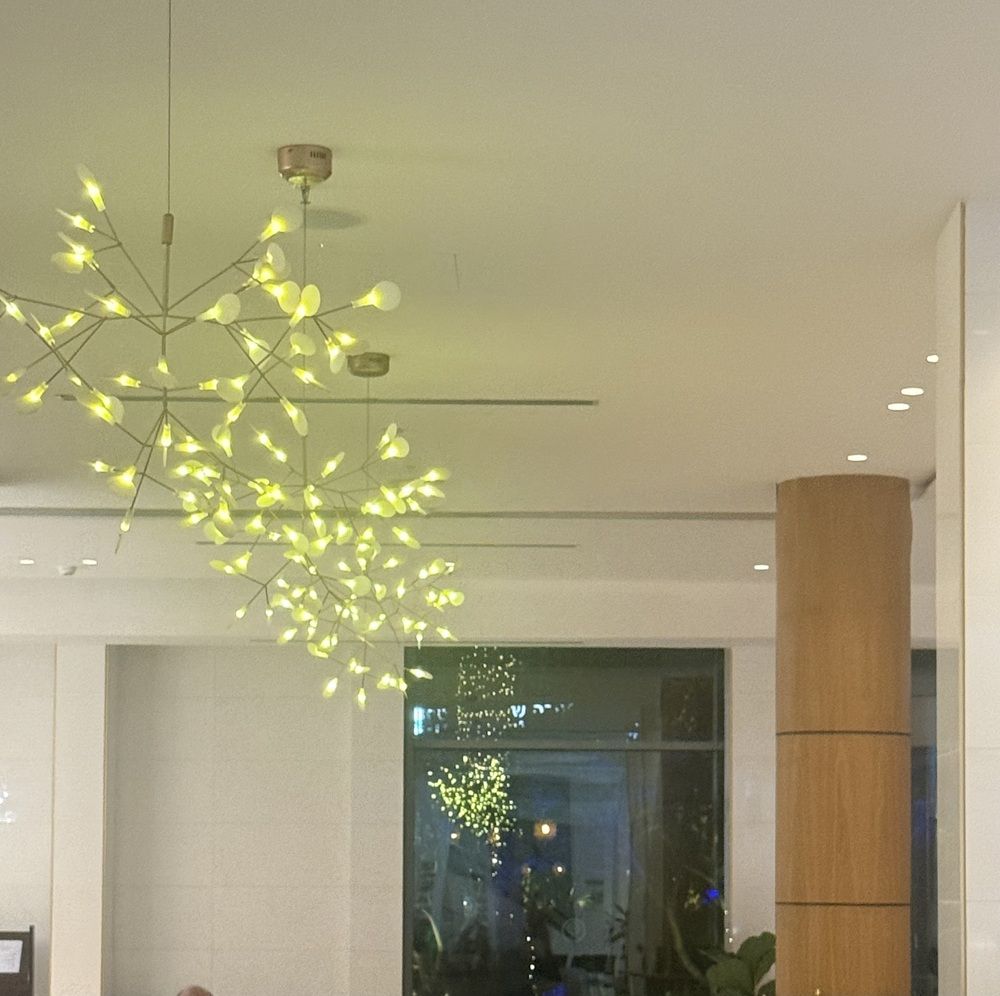 Фотография автора Olga Berlyand