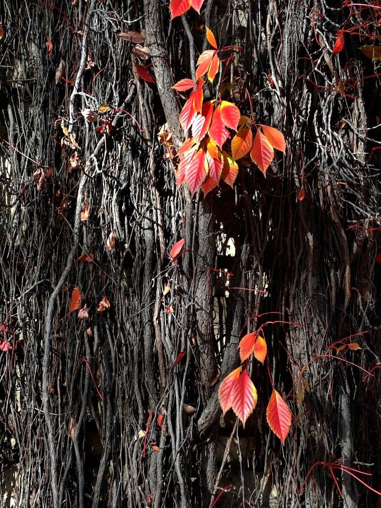 Photograph by Нестеренко Светлана