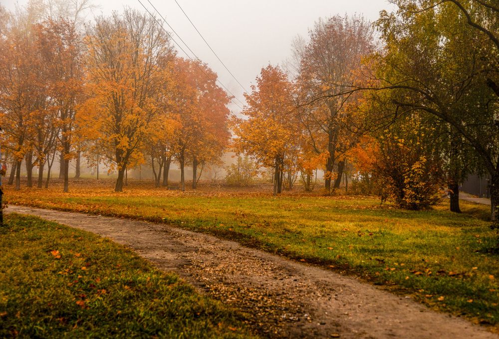 Photograph by Наталья Кирина