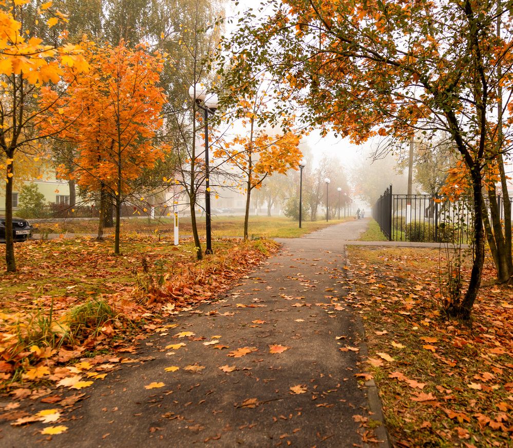 Photograph by Наталья Кирина