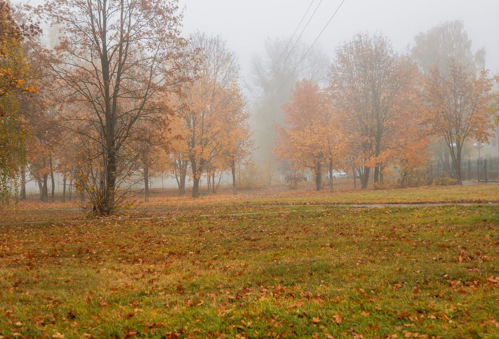 Photograph by Наталья Кирина