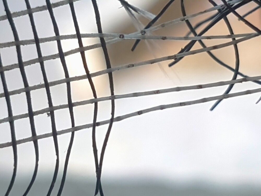 Фотография автора Ася Бабушкина