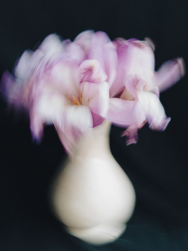 Photograph by Людмила Емельянчикова