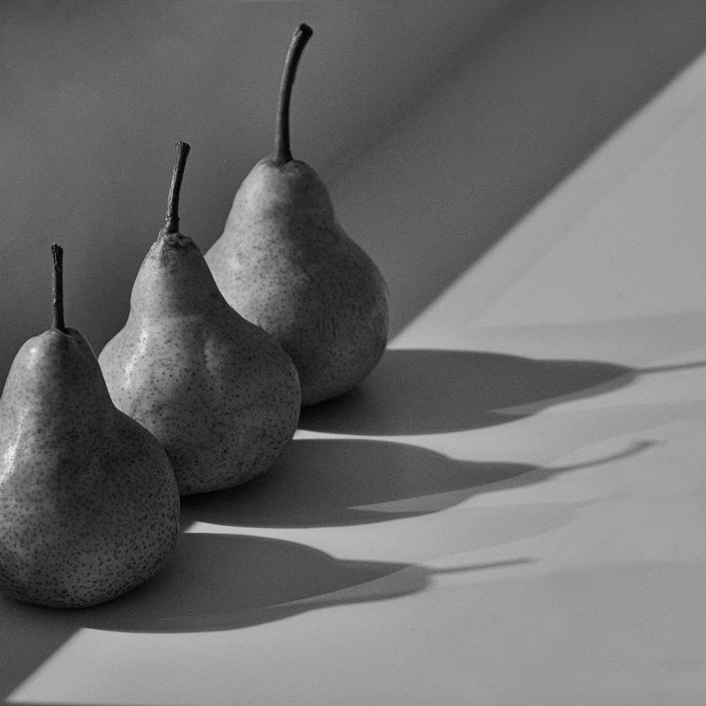 Photograph by Лебедев Кирилл