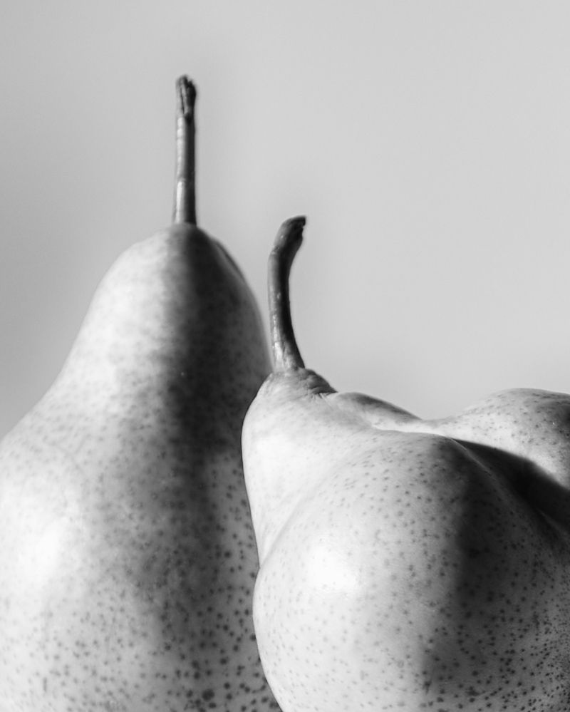 Photograph by Лебедев Кирилл