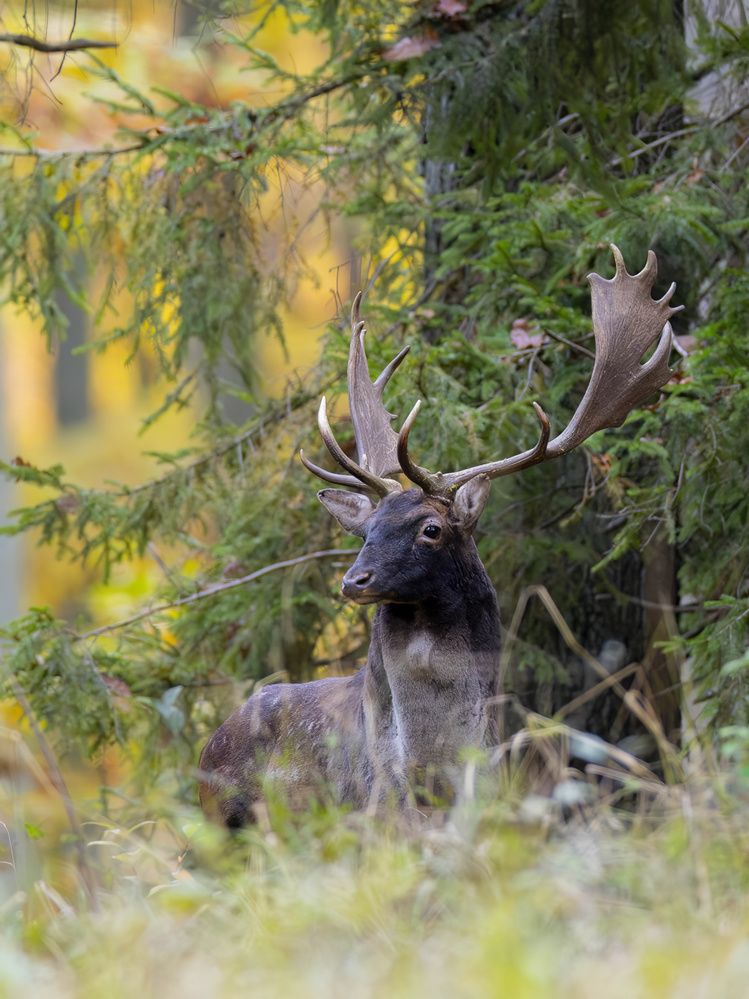 Photograph by Hubert Mielnik
