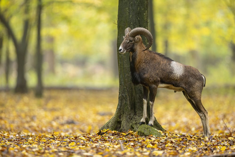 Photograph by Hubert Mielnik