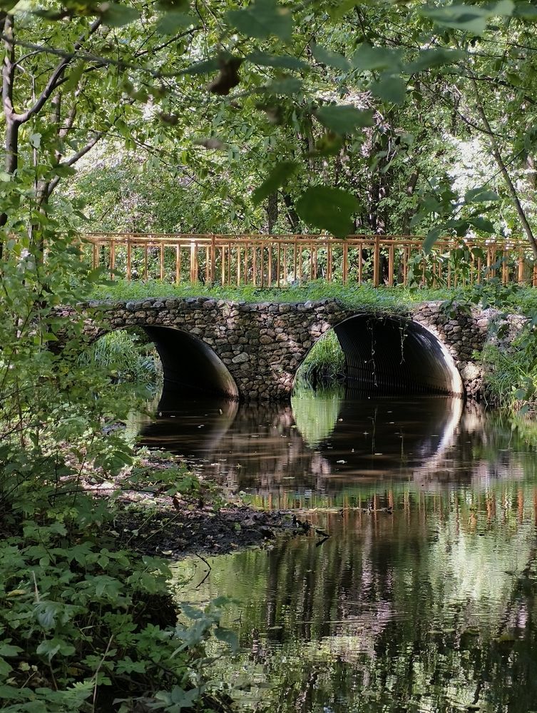 Photograph by Наталия