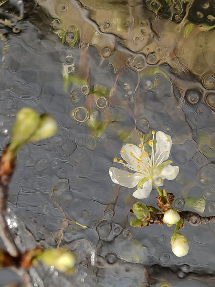 Photograph by Ульяна Кузьмина