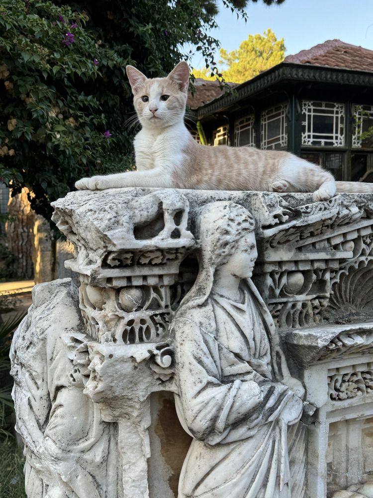 Photograph by Пётр Воронов