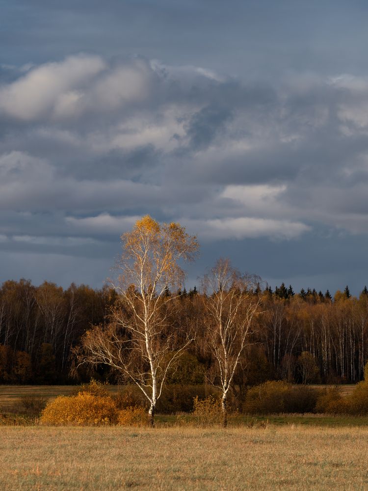Photograph by Мозжухин Максим