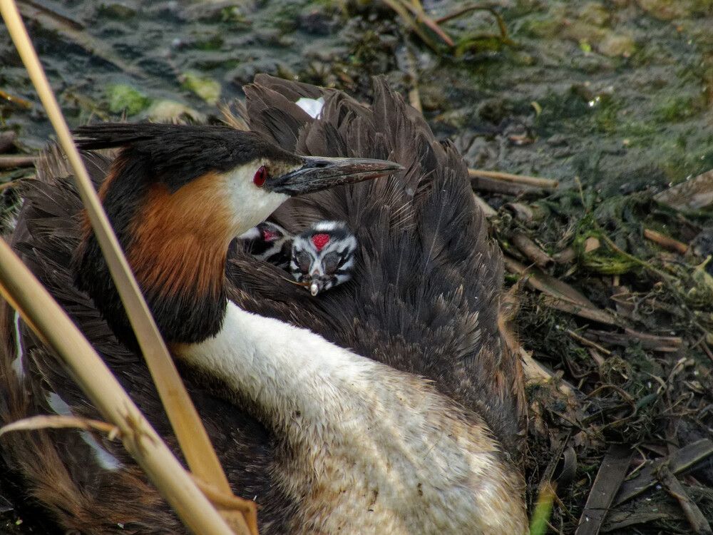 Photograph by Mad Mouse