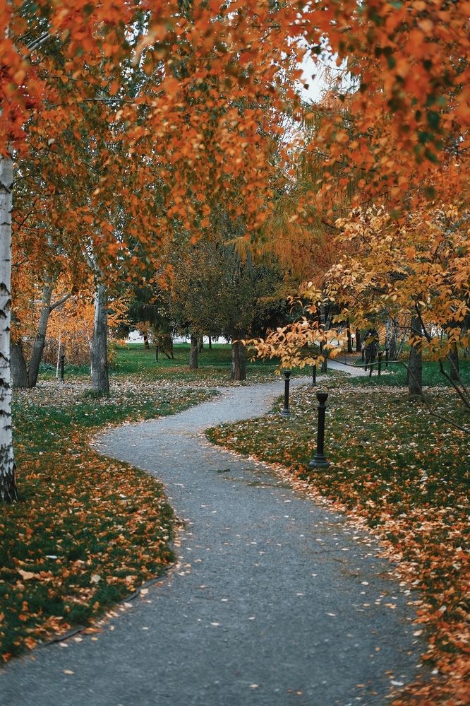 Photograph by Аида Фай