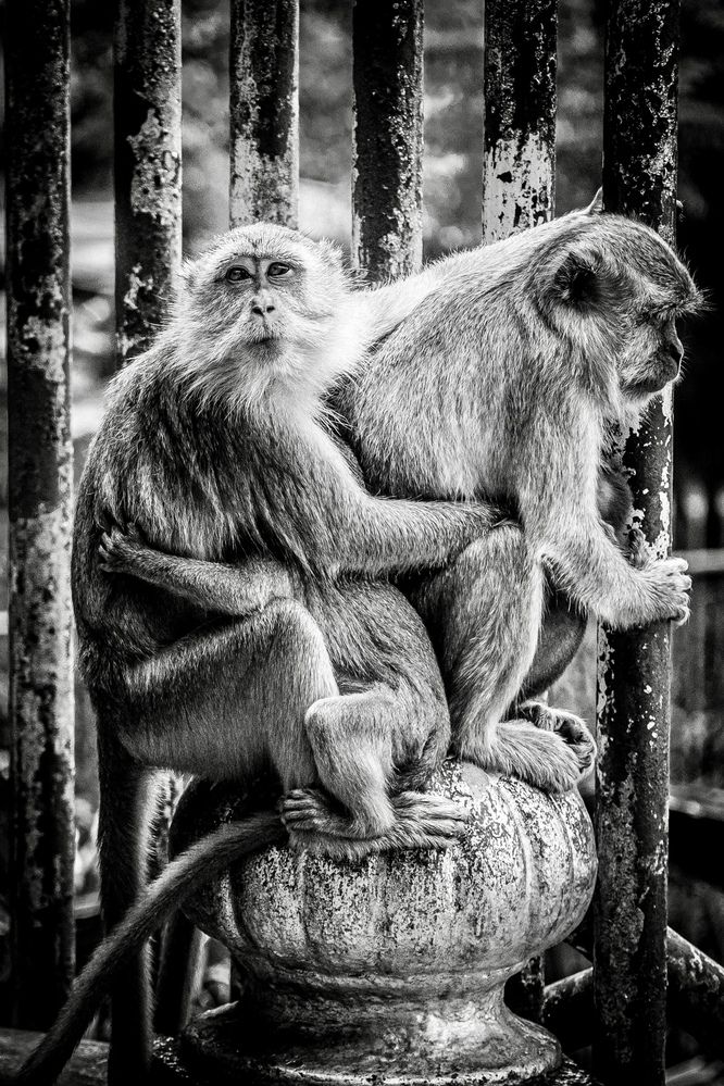 Photograph by Анастасия Дулова