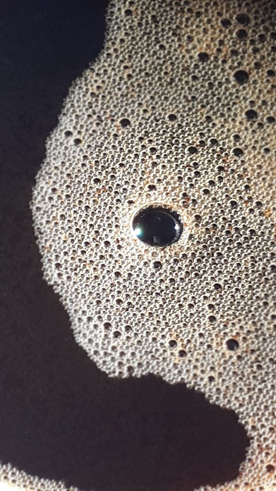 Photograph by Наталья Вялых