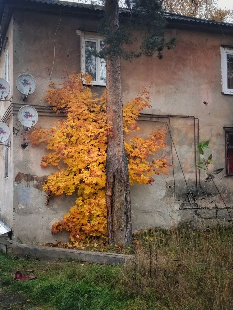 Photograph by Светлана Филина