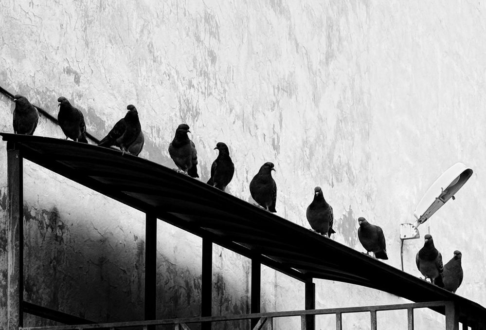 Photograph by Наталья Казачок