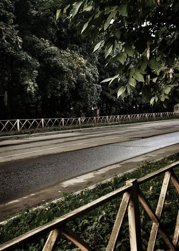 Photograph by Светлана Филина