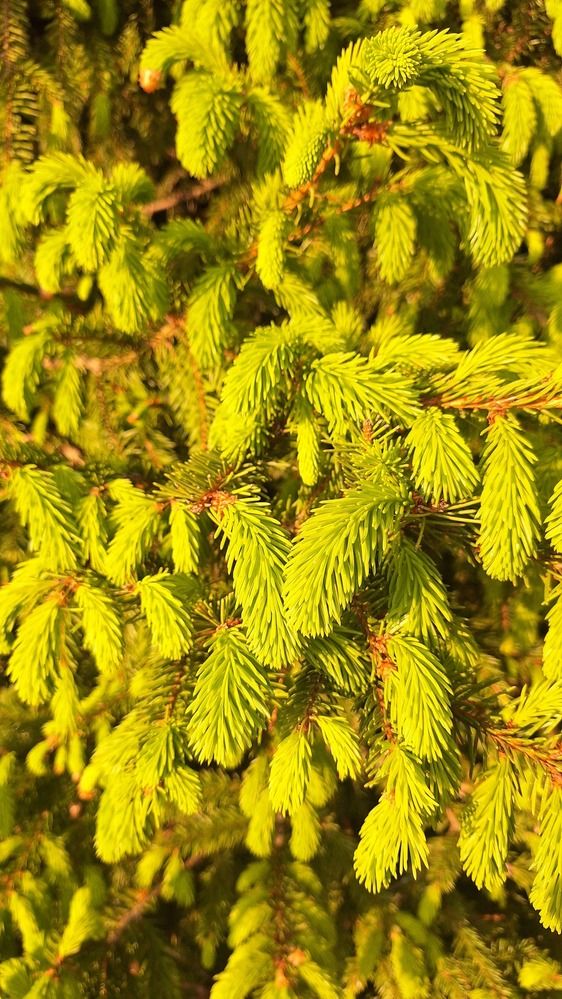 Photograph by Наталья Вялых