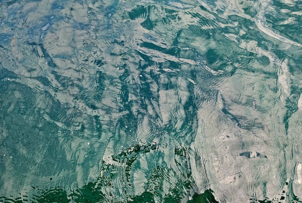 Photograph by Marta Machado Santos