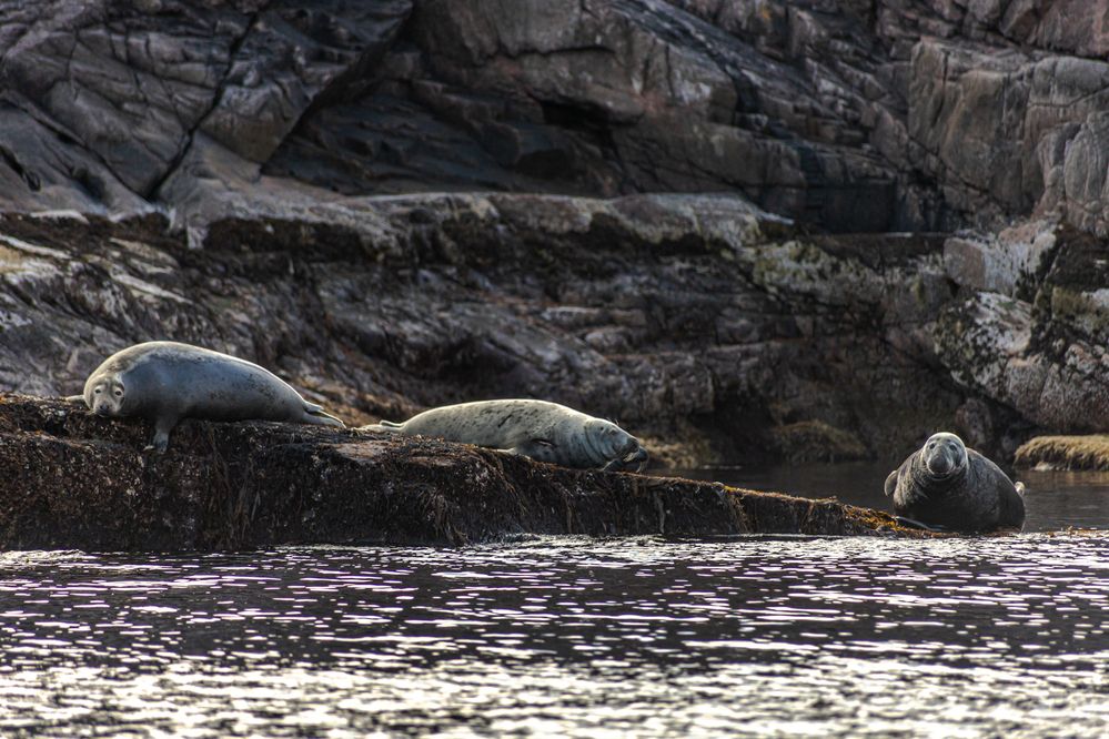 Photograph by Сагдиева Эльвира