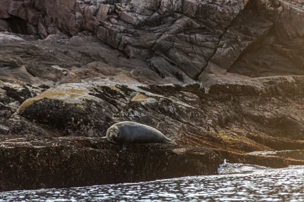 Photograph by Сагдиева Эльвира