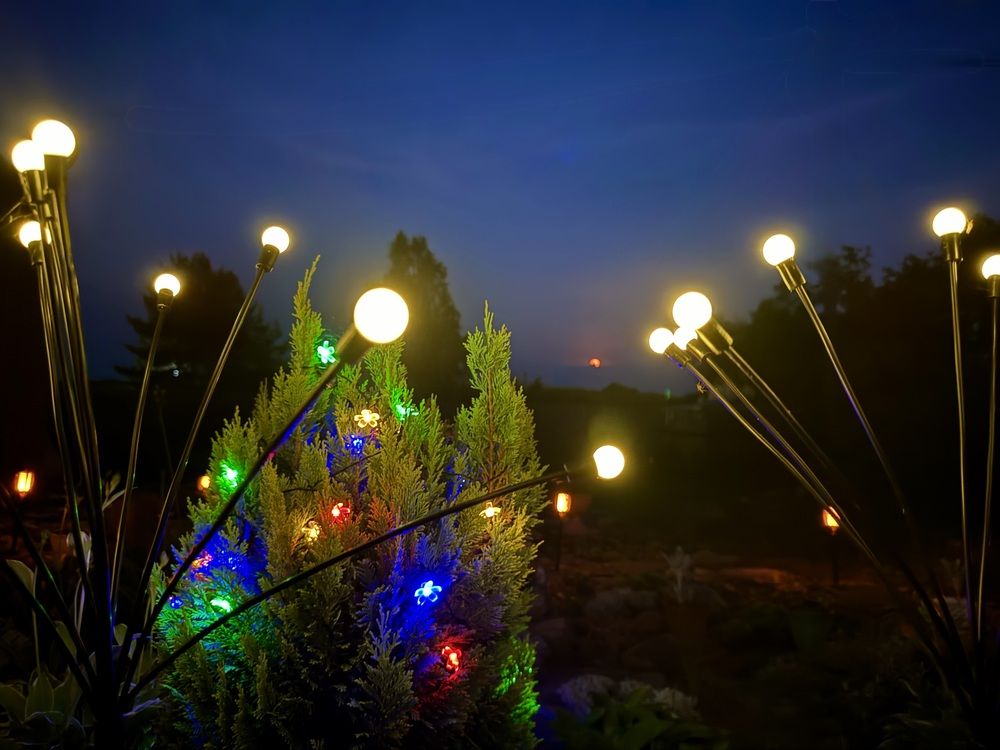 Photograph by Оксана Малышева