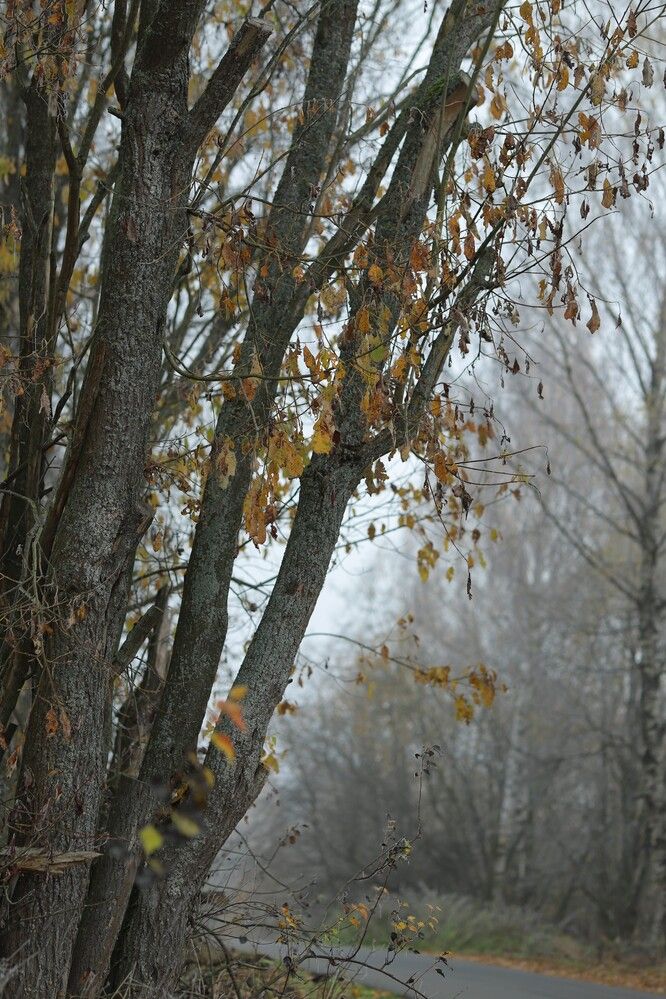 Photograph by Вера Сдвижкова